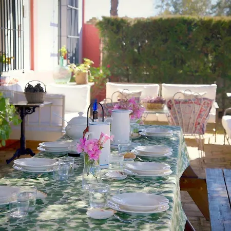 Hacienda De Santa Teresa 펜션 알몬테
